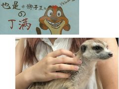 -藦茜花园宠物主题亲子互动体验馆(国顺东路店)