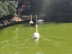 -昆明动物园