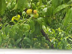 -南京金牛湖风景区