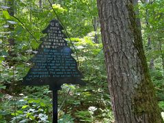 -五营红松林海景区