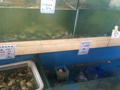 水产区-蓝海渔湾生态园(赣榆店)