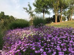 -米二红烧兔(华阳店)