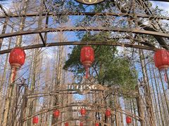 -东平国家森林公园
