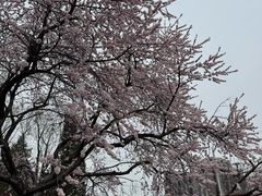 -玲珑塔公园