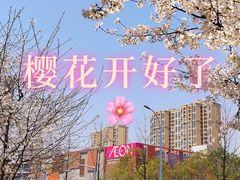 -永旺梦乐城(金银潭店)
