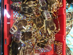 -渔民新村(番禺总店)