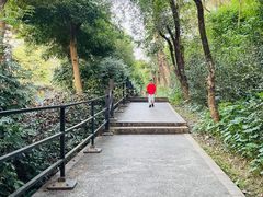 -广州市白云山风景名胜区