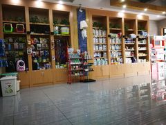 -瑞派名望志远动物医院·猫科·內科·异宠专科(直港大道店)