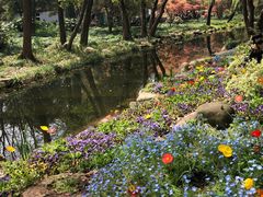 -上海共青森林公园