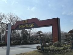 -茯茶镇