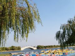 -孔子六艺文化园