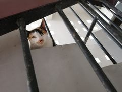 -品腐记·豆腐王朝(老门东总店)