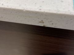 -大锅强·蒸海鲜青岛菜(吾悦广场店)