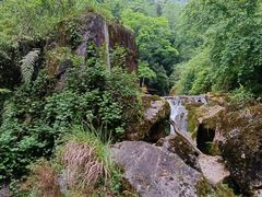 -青城山