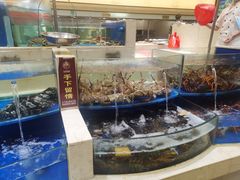 水产区-海景壹号大酒店(滨湖店)