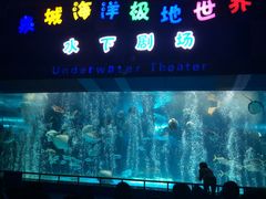 -泉城欧乐堡海洋极地世界