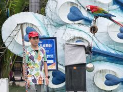-灵玲国际马戏城