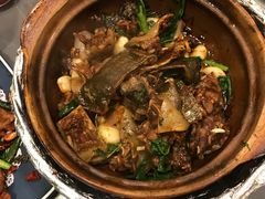 -金龙·打边炉(南京西路店)