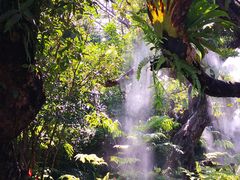 景观位-Chom Cafe and Restaurant