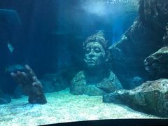 -暹罗海洋世界
