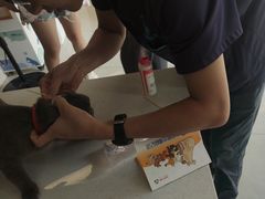 -乐琪宠物医院·犬猫专科·骨外科·急重症