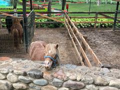 -静之湖度假区