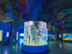 -福州罗源湾海洋世界旅游区