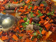 -首秀·四川料理(吾悦广场店)