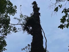 -龙苍沟森林公园