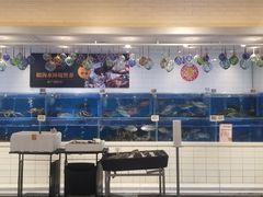 -T11生鲜超市(朝阳公园店)