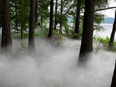 -东湖落雁景区