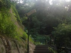 -厦门国家会计学院