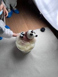 -妈咪爱月子中心·母婴护理