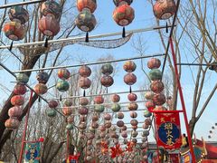 -北戴河集发农业梦想王国