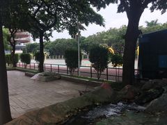 -广州市越秀区育才实验学校