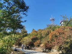 -北京西山国家森林公园