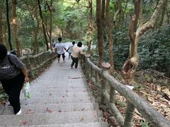 -银瓶嘴森林公园