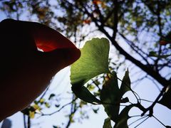 -山明水秀大饭店