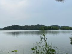 -东湖落雁景区