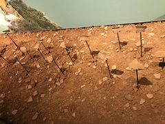 -盘龙城国家考古遗址公园