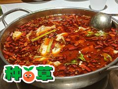 -蛙蛙鸡冷锅鱼(驷马桥店)
