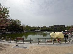 -莲湖公园