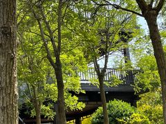 -天津东丽湖风景区