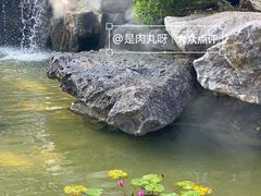 -东莞植物园