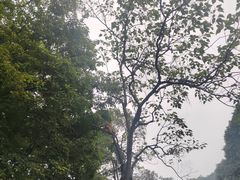 -黔灵山公园-南门售票处