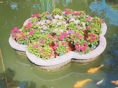 -豫园