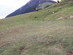 -大姆山草场