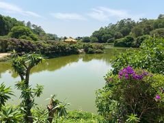 -南国桃园旅游度假区