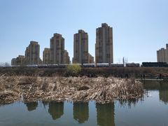 -前关湿地公园