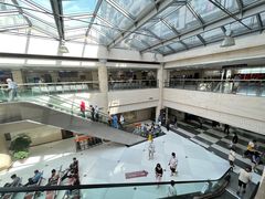 -上海中医药大学附属曙光医院(东部)